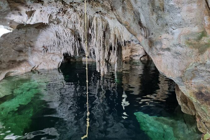 Private Cenote Hopping Tour  Adventure with a Local Vibe - Why This Tour Offers Great Value