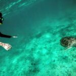 Private Cenote & Snorkeling Tour with Turtles in Akumal - The Value of a Well-Rounded Experience