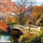 Private Central Park Walking Guided Tour - Practical Details and What to Expect