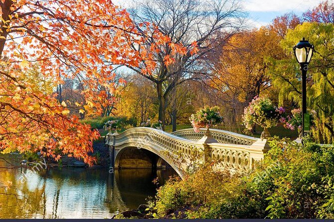 Private Central Park Walking Guided Tour - Practical Details and What to Expect