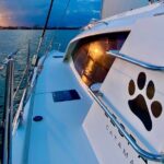 Private Charleston Harbor Catamaran Sail - Exploring the Charleston Harbor Catamaran Experience in Detail
