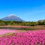 Private charter car one day trip for Mt fuji - Frequently Asked Questions