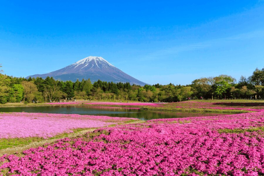 Private charter car one day trip for Mt fuji - Frequently Asked Questions