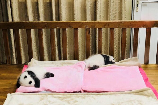 Private Chengdu City Highlight Day Tour - Frequently Asked Questions