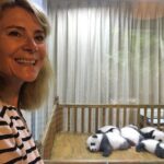 Private Chengdu Highlights Day Trip: Panda Base and City from Xi'an by Train - Value and Practicality