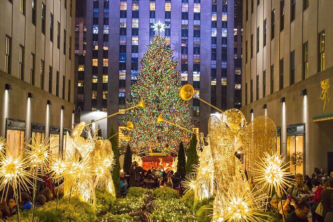 Private Christmas Lights Horse Carriage Tour In New York City - In-Depth Review of the Private Christmas Lights Horse Carriage Tour
