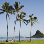Private Circle Island Tour Across Oahu Paradise - Why This Tour Offers Great Value