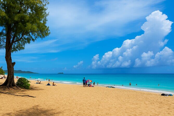 Private Circle Island Tour North Shore and East Side - A Deep Dive into the Tour Itinerary