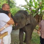 Private City Tour - Frequently Asked Questions