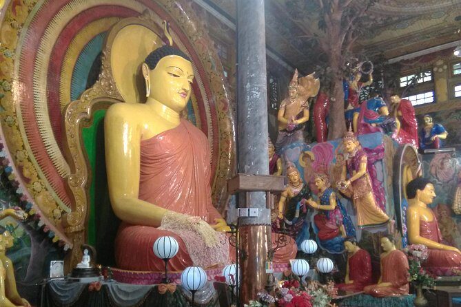 Private City tour in Colombo By tuk tuks or Cars - Why This Tour Works for You