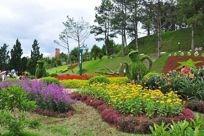 Private City Tour in Dalat - Authentic Experiences and Traveler Insights