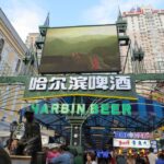 Private City Tour of Harbin - Final Thoughts on Value and Experience