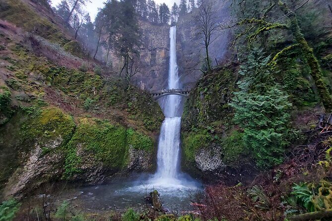 Private Columbia River Gorge Half-Day Tour - An In-Depth Look at the Columbia River Gorge Half-Day Tour