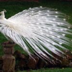 Private Custom Tour: 10-hour Best of Bali Tour - Final Thoughts