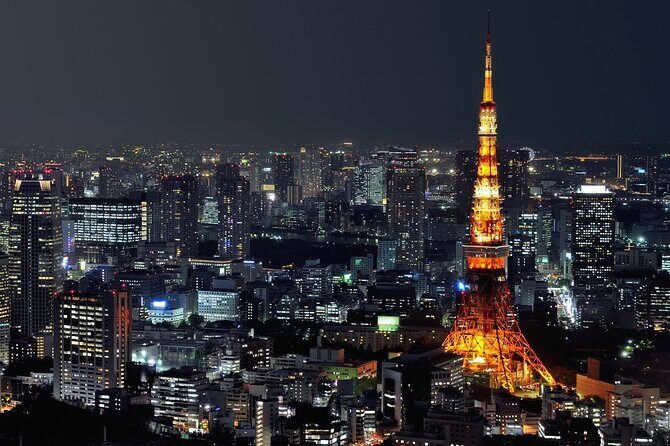 Private Customizable Tour in Tokyo - More Practical Details and What You Get