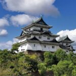 Private Customizable Tour in Wakayama - In-Depth Experience: What to Expect on a Wakayama Private Tour