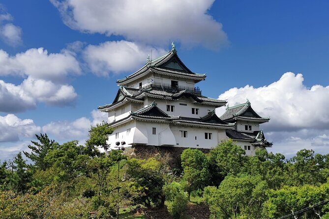 Private Customizable Tour in Wakayama - In-Depth Experience: What to Expect on a Wakayama Private Tour