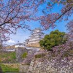 Private Customize Tour Himeji from Osaka - The Sum Up