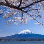 Private Customized Tour in Mount Fuji - An In-Depth Look at the Mount Fuji Private Tour