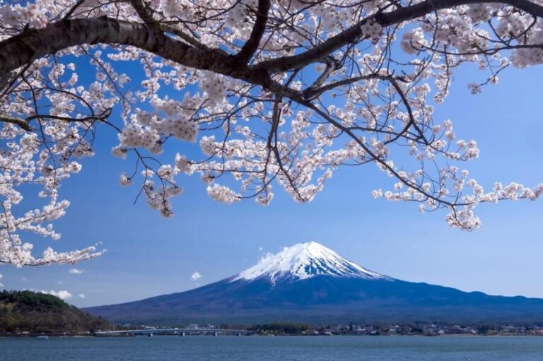 Private Customized Tour in Mount Fuji - An In-Depth Look at the Mount Fuji Private Tour
