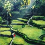 Private Customized Tour with Local Guide - Pros and Cons