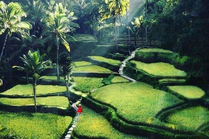 Private Customized Tour with Local Guide - Pros and Cons