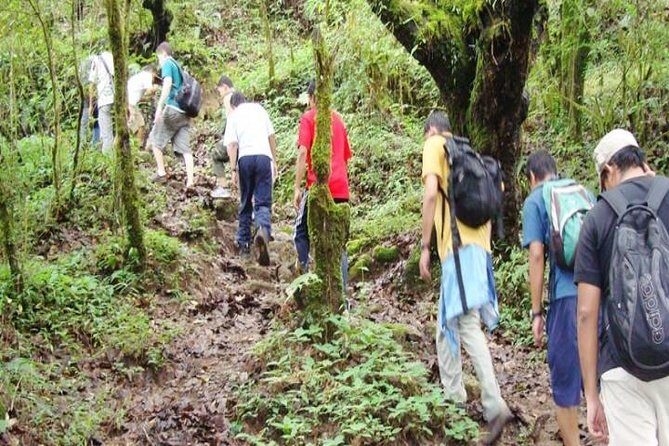 Private Day Hike to Shivapuri - What Sets This Tour Apart?