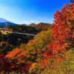PRIVATE Day MiniBUS Tour to KOKONOE & YUFUIN, BEPPU from Fukuoka - Who Will Love This Tour?
