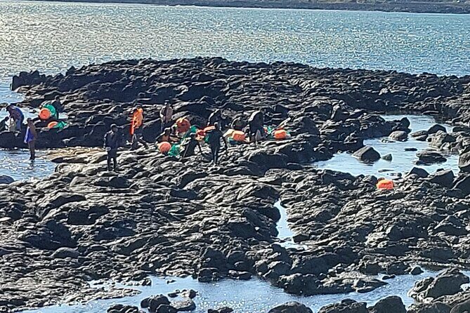 Private Day Tour A lot of Experienced Jumbo Taxi Driver in jeju - Who Should Choose This Tour?