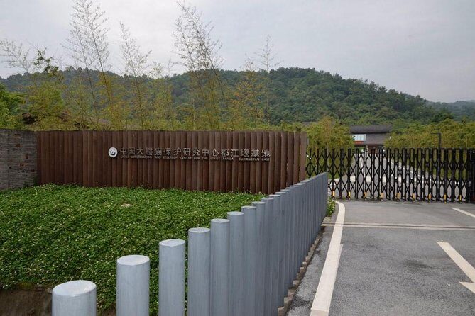 Private Day Tour: Dujiangyan Panda Base Volunteering from Chengdu - Analyzing the Value and Practicalities