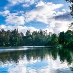 Private Day Tour : From Madurai to Enchanting Kodaikanal - An In-Depth Look at the Madurai to Kodaikanal Day Tour