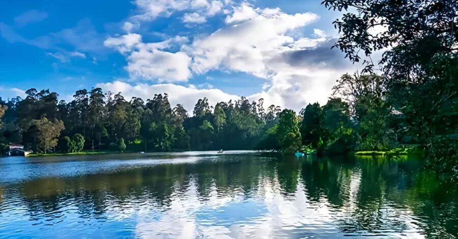 Private Day Tour : From Madurai to Enchanting Kodaikanal - An In-Depth Look at the Madurai to Kodaikanal Day Tour