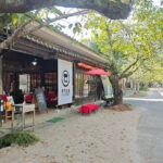 Private Day Tour in Hidden Fukuoka Japan - Exploring Hidden Fukuoka: A Deep Dive Into the Itinerary