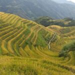 Private Day Tour: Longji Rice Terraces and Long Hair Village - Practical Considerations