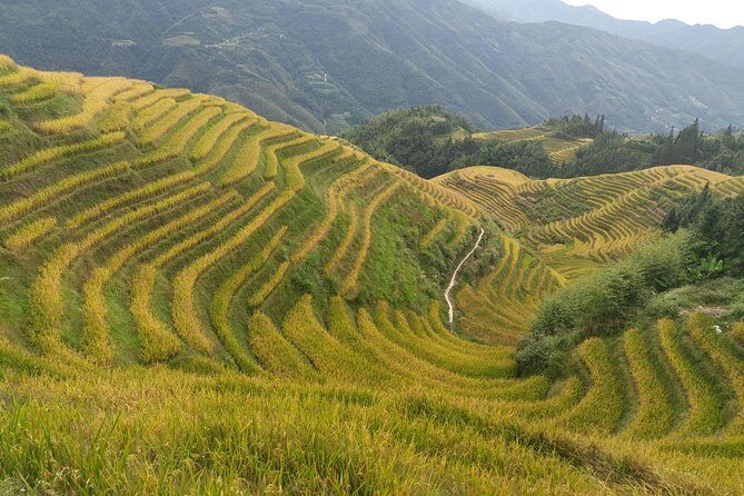 Private Day Tour: Longji Rice Terraces and Long Hair Village - Practical Considerations