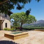 Private Day Tour: Napa Valley Wine Tasting from San Francisco - 6hrs - Frequently Asked Questions