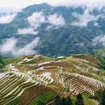 Private Day Tour to Longji Rice Terraces from Yangshuo - Practical Details and What You Can Expect
