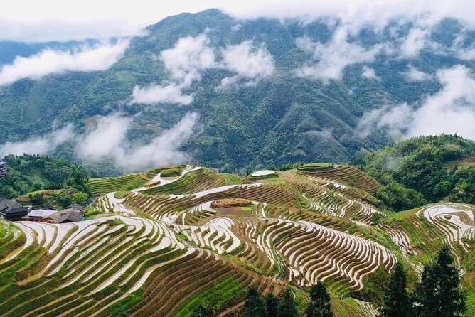 Private Day Tour to Longji Rice Terraces from Yangshuo - Practical Details and What You Can Expect