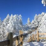 Private Day Tour to Xiling Snow Mountain - In-Depth Look at the Xiling Snow Mountain Tour