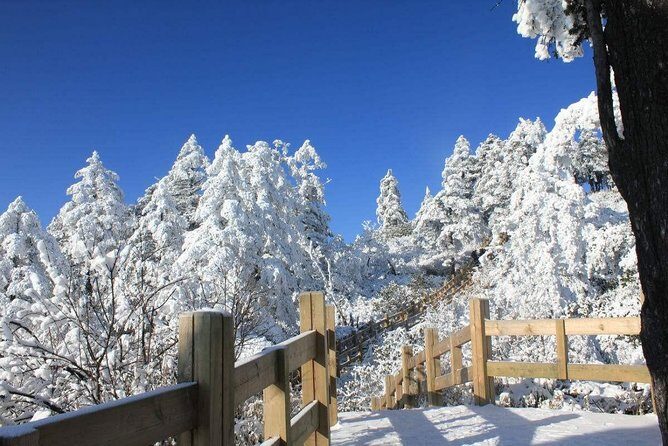 Private Day Tour to Xiling Snow Mountain - In-Depth Look at the Xiling Snow Mountain Tour