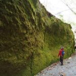 Private Day Trip of Lake Shikotsu and Moss Canyon - In-Depth Review of the Lake Shikotsu & Moss Canyon Tour