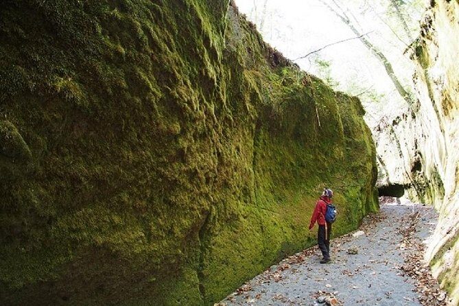 Private Day Trip of Lake Shikotsu and Moss Canyon - In-Depth Review of the Lake Shikotsu & Moss Canyon Tour