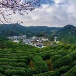 Private Day Trip to Hangzhou from Shanghai by Bullet Train - What We Love About This Tour