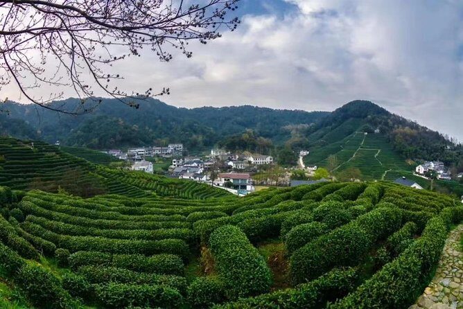 Private Day Trip to Hangzhou from Shanghai by Bullet Train - What We Love About This Tour