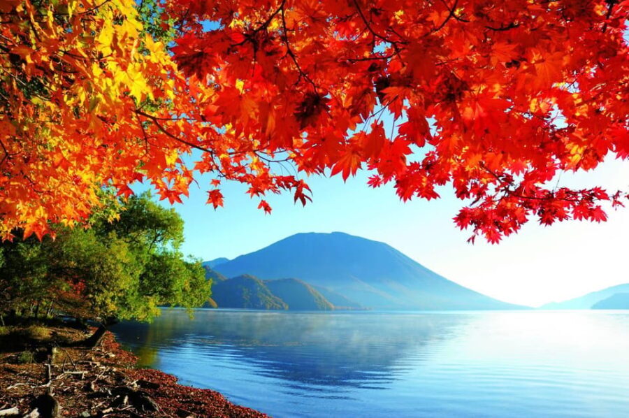 Private Day trip to Nikko with English speaking Guides - Exploring the Wonders of Nikko