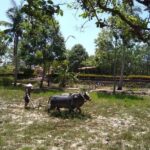 Private Day Trip To Visit MY LAI MASSACRE from Hoi an or Da Nang City - Final Thoughts