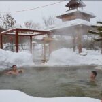 Private Day Trip to Yingjie Hot Spring in Bin County from Harbin - Who Will Love This Tour?