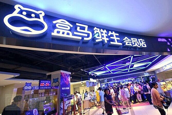 Private Day Trip to Zhujiajiao Water Town w/Flexible Shanghai Highlights - Who Should Book This Tour?