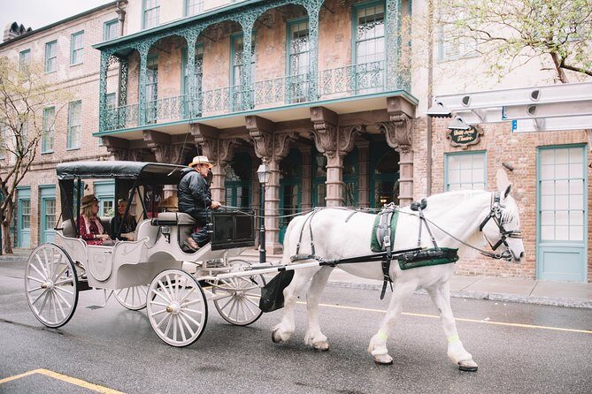 Private Daytime Horse-Drawn Carriage Tour of Charleston - Authentic Experiences and Traveler Feedback