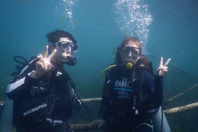 Private Diving Experience in Nusa Dua with Hotel Pick Up - Who Would Love This Tour?